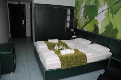 Green Hotel Budapest - image 18