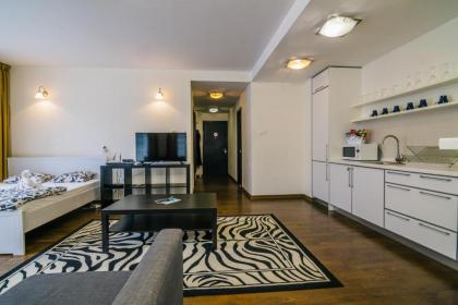 Luxury Downtown Apartments - image 8