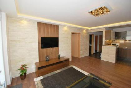 Arpad Bridge Apartments - image 1