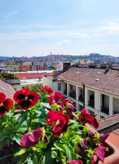 Margaret Apartment for 5 people with Panorama Terrace - image 19