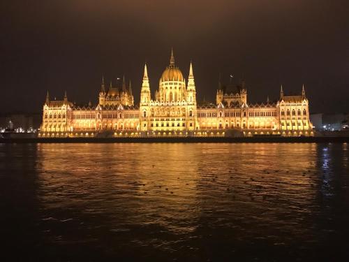 Budapest Downtown Apartments - image 5