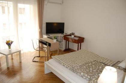 Budapest Downtown Apartments - image 6